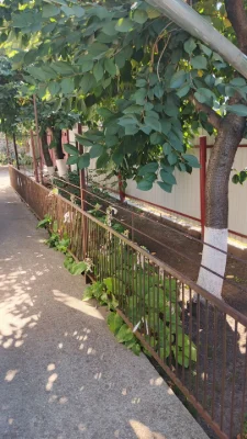Продається затишна частина будинку у місті Звенигородка Черк