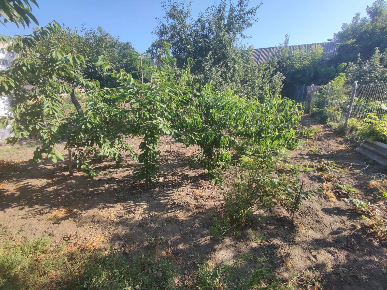 Продаж будинку центр 17900$
