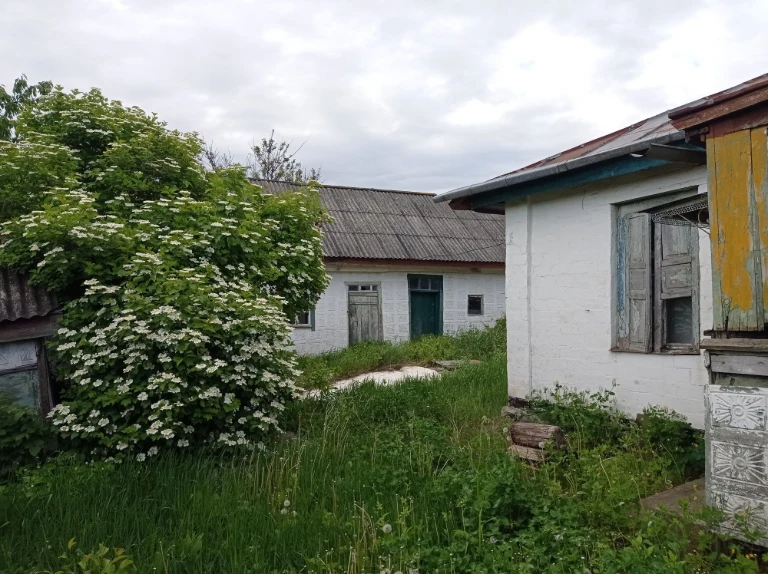 Продаю половину хати з присадибною ділянкою в Кам'янка Черка