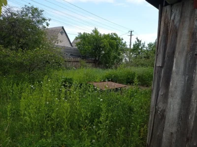Продаю половину хати з присадибною ділянкою в Кам'янка Черка