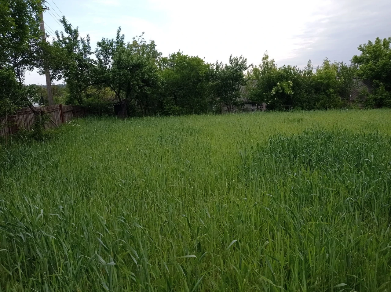 Продаю половину хати з присадибною ділянкою в Кам'янка Черка