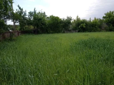 Продаю половину хати з присадибною ділянкою в Кам'янка Черка