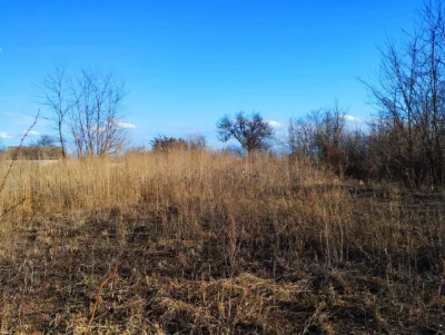 Продам Будинок Драбівці з ділянкою 30 сот