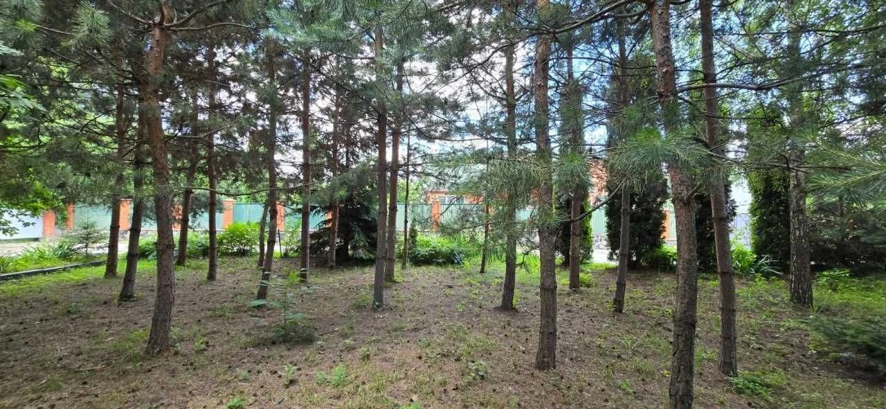 Одноповерховий цегляний будинок 117.3 м², 22 сот, басейн, 2