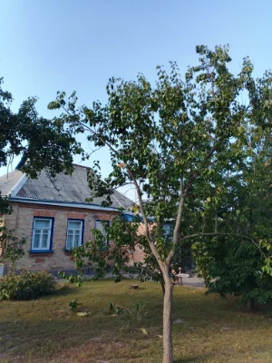 Продається будинок