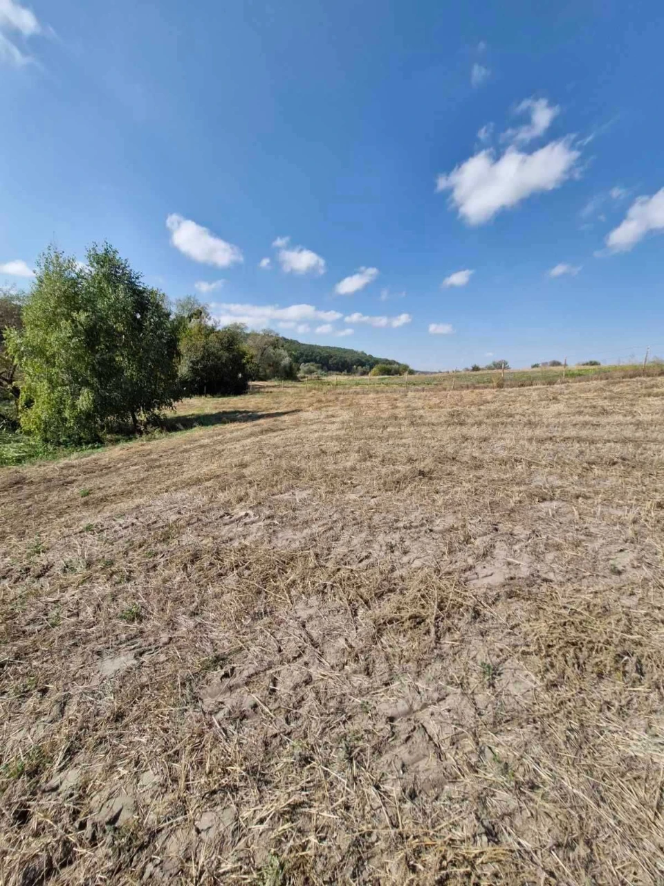Продам будинок /32 сотки землі/ в Корсунь-Шевченківському