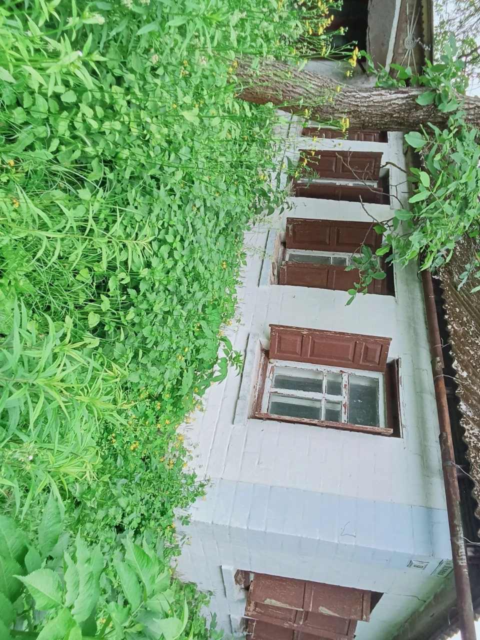 Продам ділянку в с.Будки ,вул.незалежності 9.