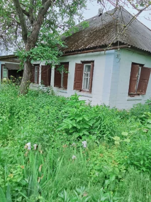 Продам ділянку в с.Будки ,вул.незалежності 9.