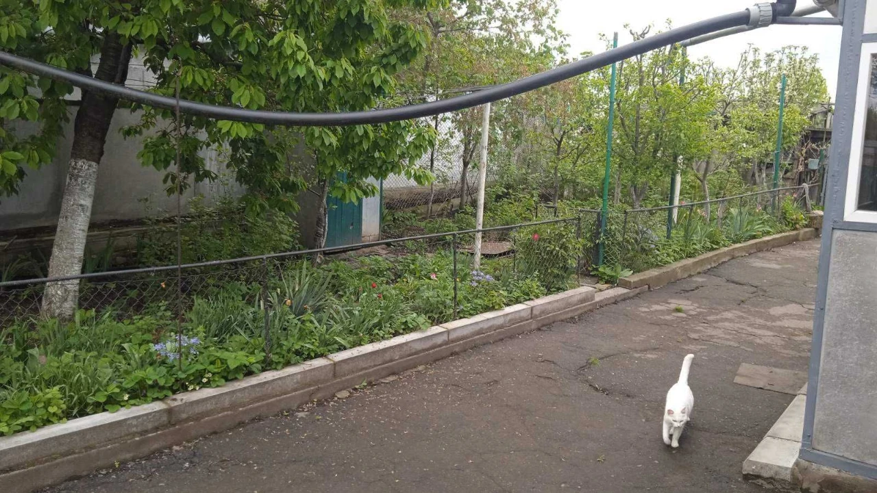 Продається будинок у м. Тальне