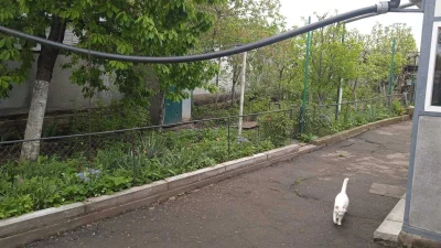 Продається будинок у м. Тальне