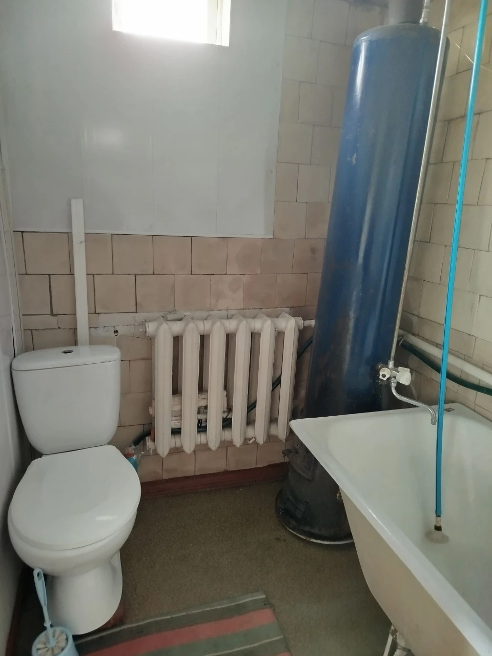 Продам будинок в мальовничому куточку м.Тальне