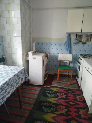 Продам будинок в мальовничому куточку м.Тальне