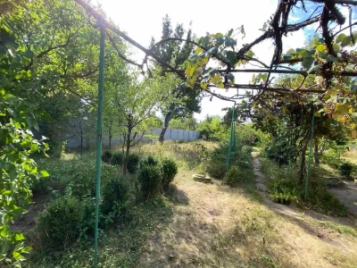 Дача «Старі Дачі»
