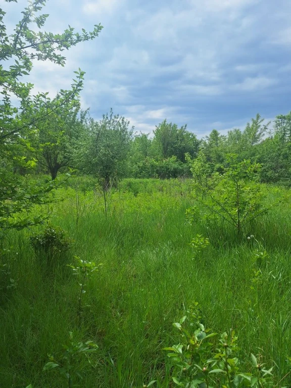 Продаж дачі в садовому товаристві
