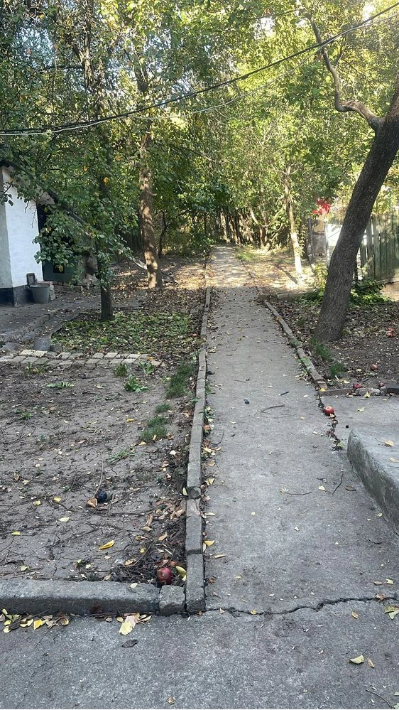 Будинок на Пушкіна. הבית למכירה