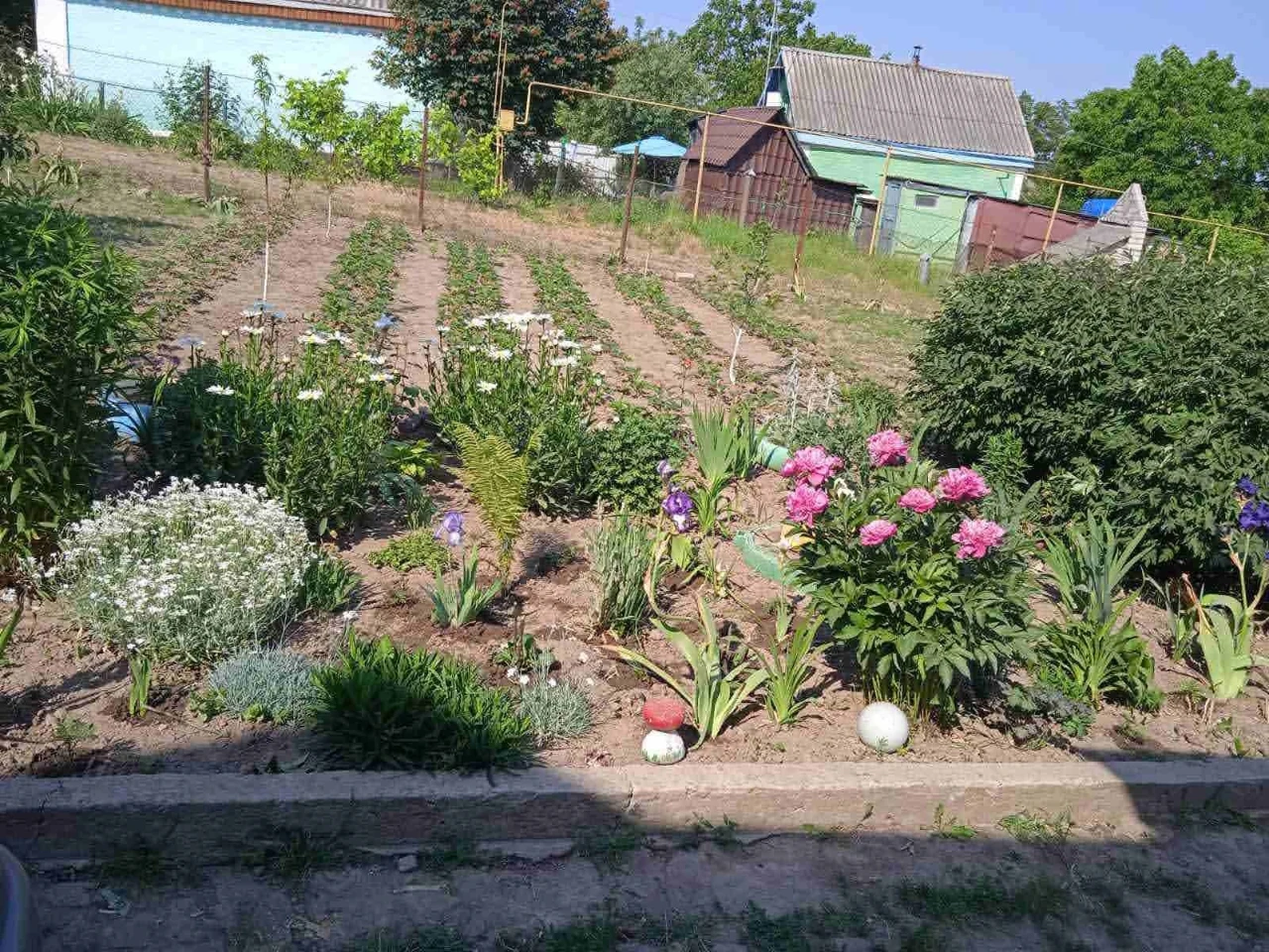 Продам будинок в м.Умань