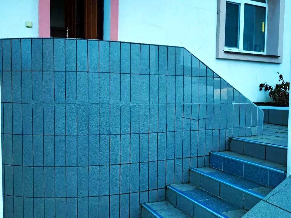 Будинок. Чигирин, Мічуріна