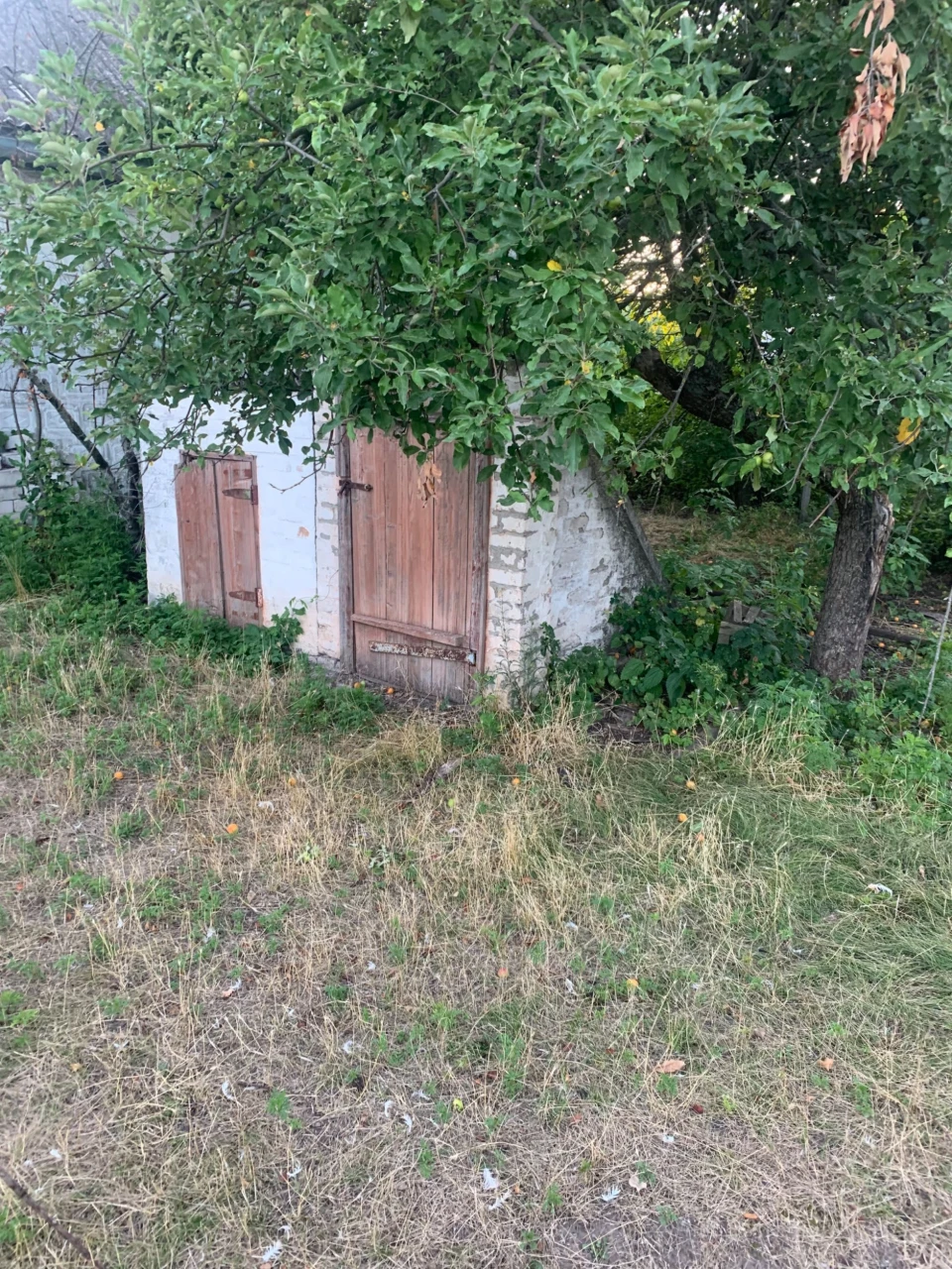 Приватний будинок