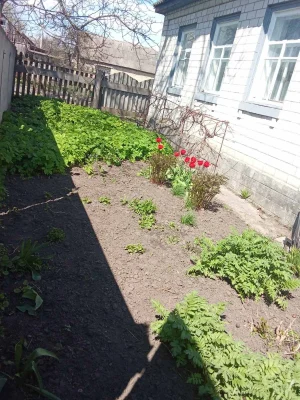 Продається будинок в м. Чигирин в р-ні церкви. 37000 у.о.