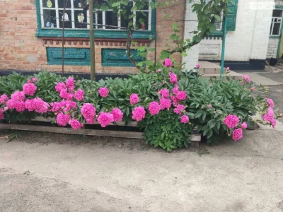 Продаж Дім
