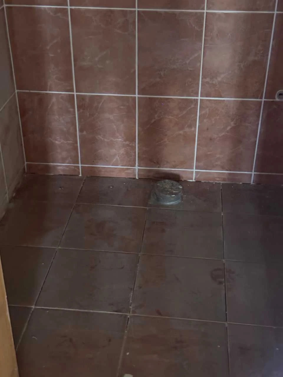 Продається будинок у Кіцмані