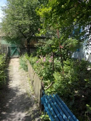 Продам будинок по вул.Центральній з присадибною ділянкою