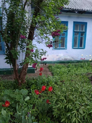 Продам будинок по вул.Центральній з присадибною ділянкою