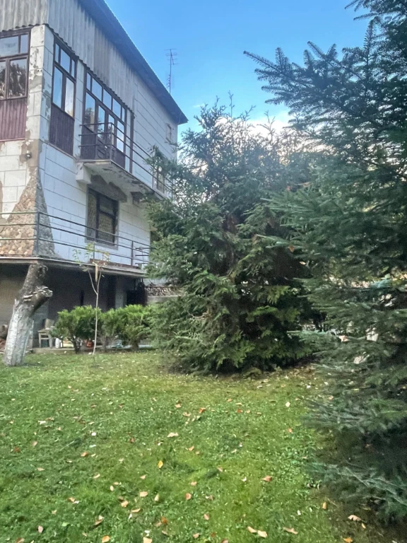 Продається дача біля лісу-35 соток землі (м.Сторожинець )