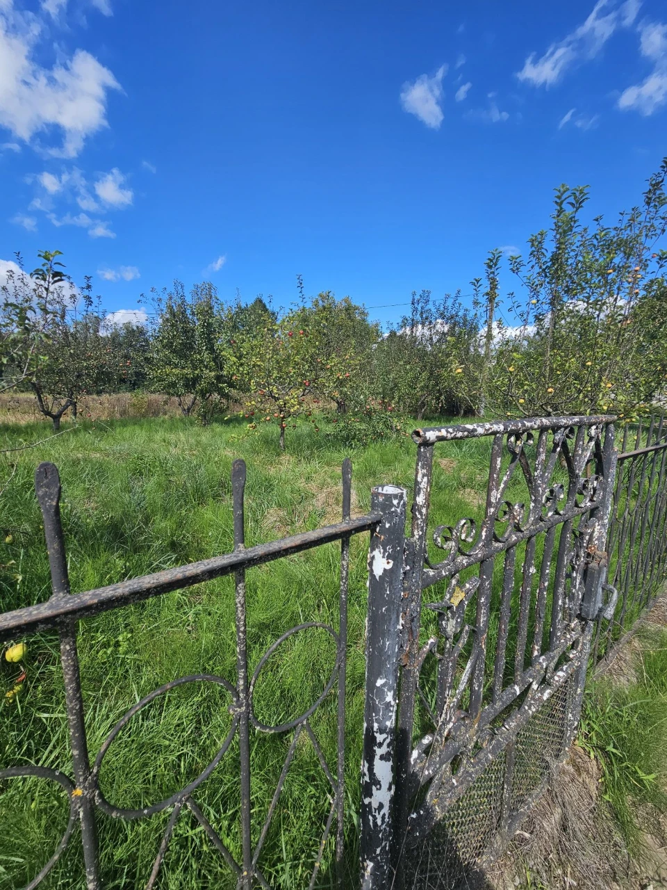 Продаж будинку  м.Сторожинець
