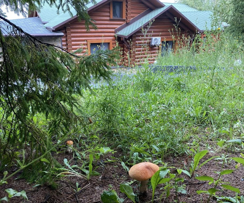 Продається будинок з бруса з двома басейнами та зі своїм озе