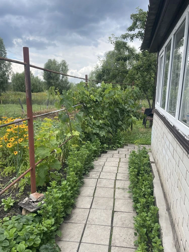 Цегляний будинок з усіма умовами!