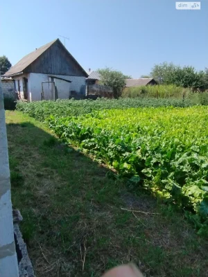Продаж Дім