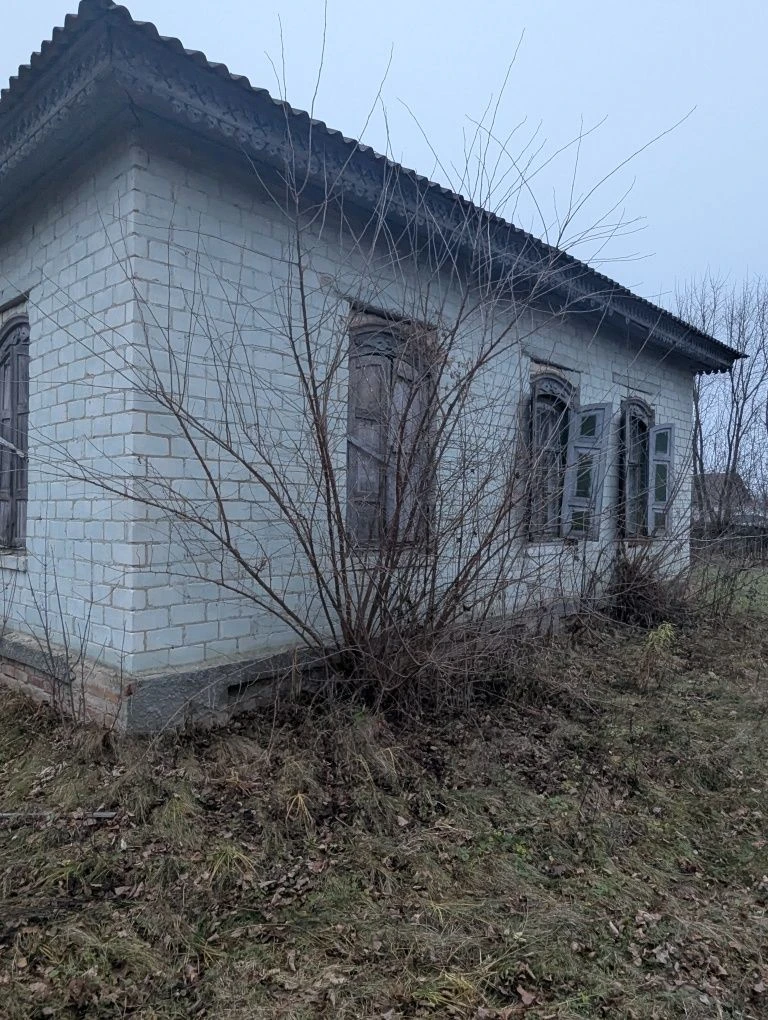 Продам дім та дві суміжні ділянки м. Борзна.  Бізнес. Пилора