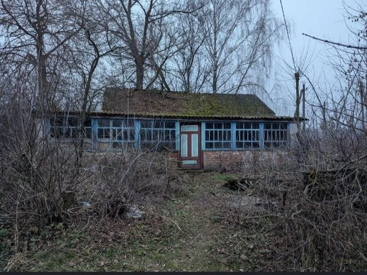 Продам дім та дві суміжні ділянки м. Борзна.  Бізнес. Пилора