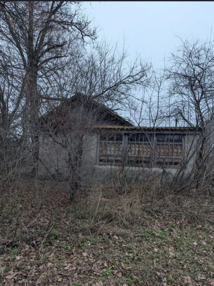 Продам дім та дві суміжні ділянки м. Борзна.  Бізнес. Пилора
