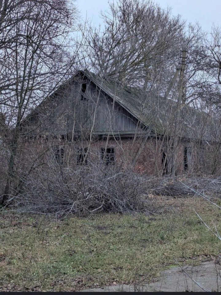 Продам дім та дві суміжні ділянки м. Борзна.  Бізнес. Пилора