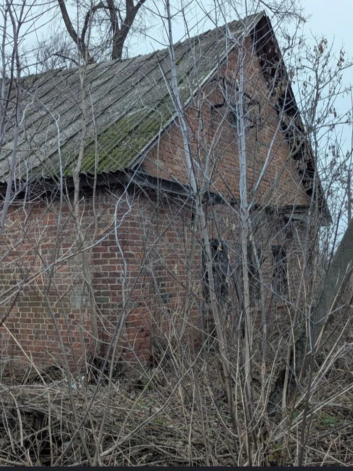 Продам дім та дві суміжні ділянки м. Борзна.  Бізнес. Пилора