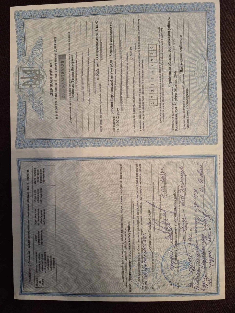 Продам дім та дві суміжні ділянки м. Борзна.  Бізнес. Пилора