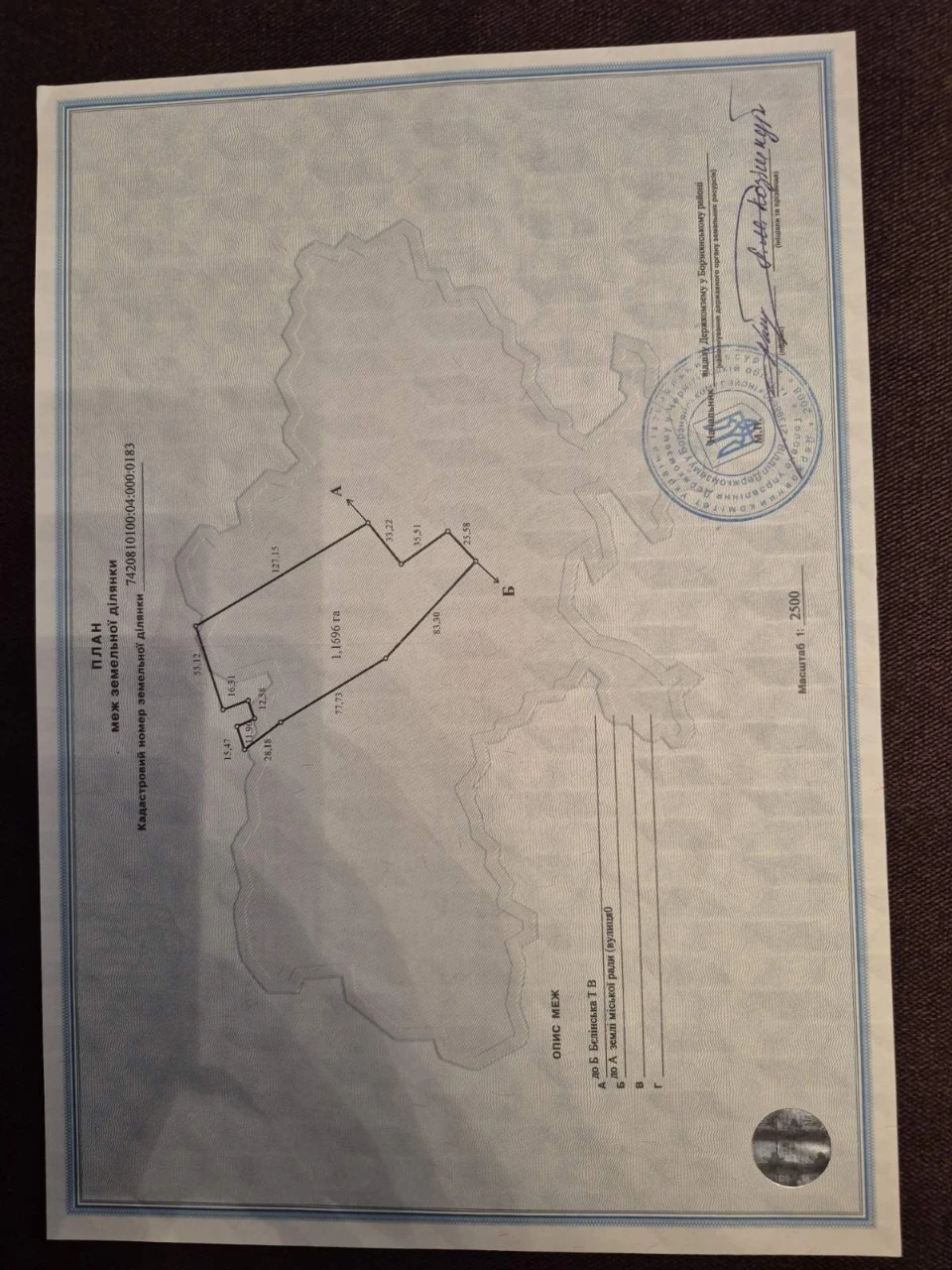 Продам дім та дві суміжні ділянки м. Борзна.  Бізнес. Пилора