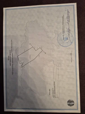 Продам дім та дві суміжні ділянки м. Борзна.  Бізнес. Пилора