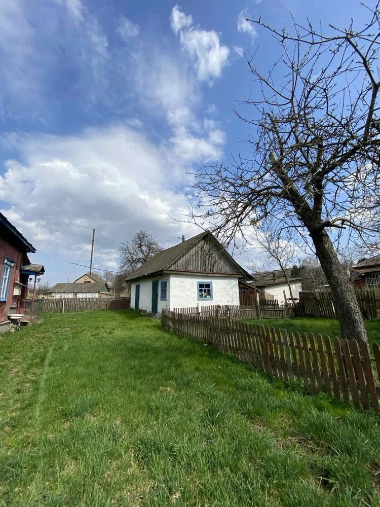 Продам будинок в Борзні