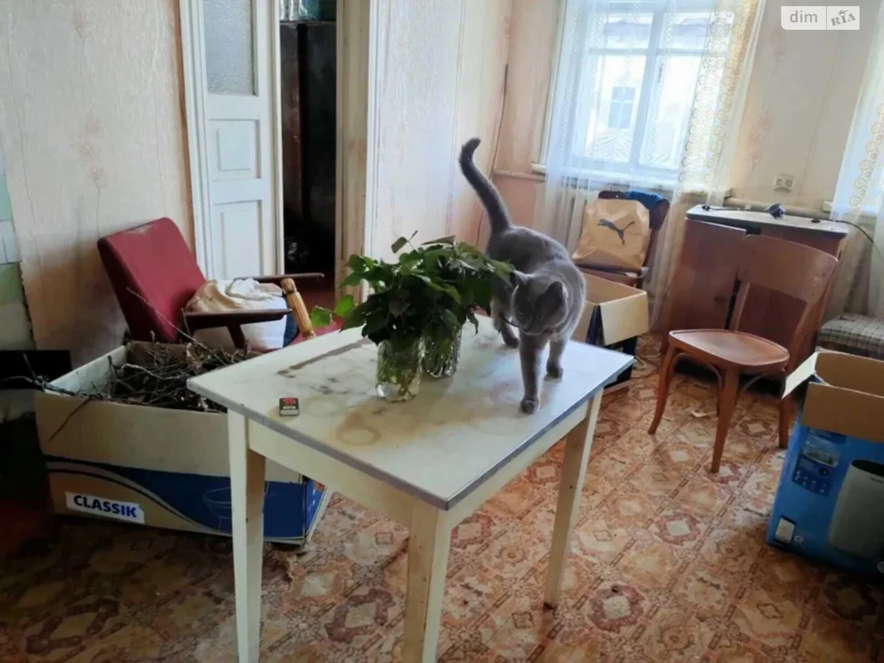 Продаж Дім
