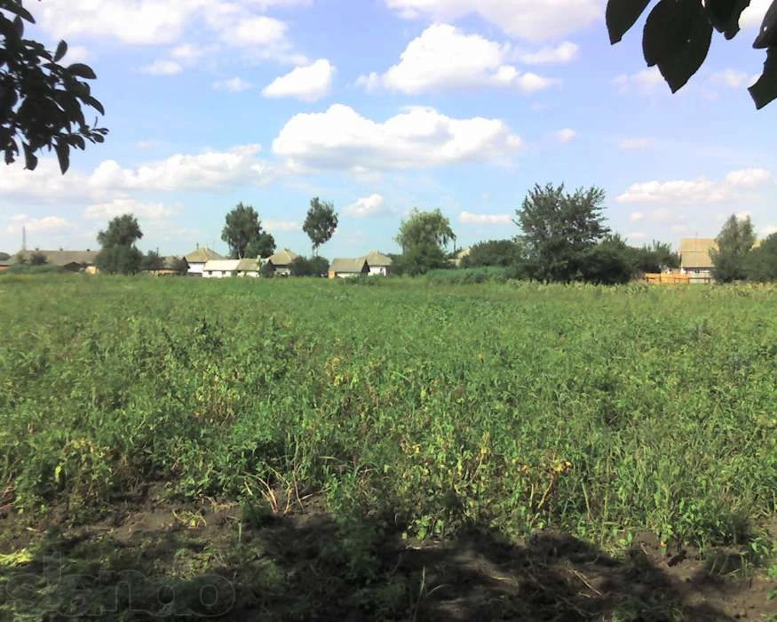 Продається будинок на гарній, великій, широкій ділянці 50 со