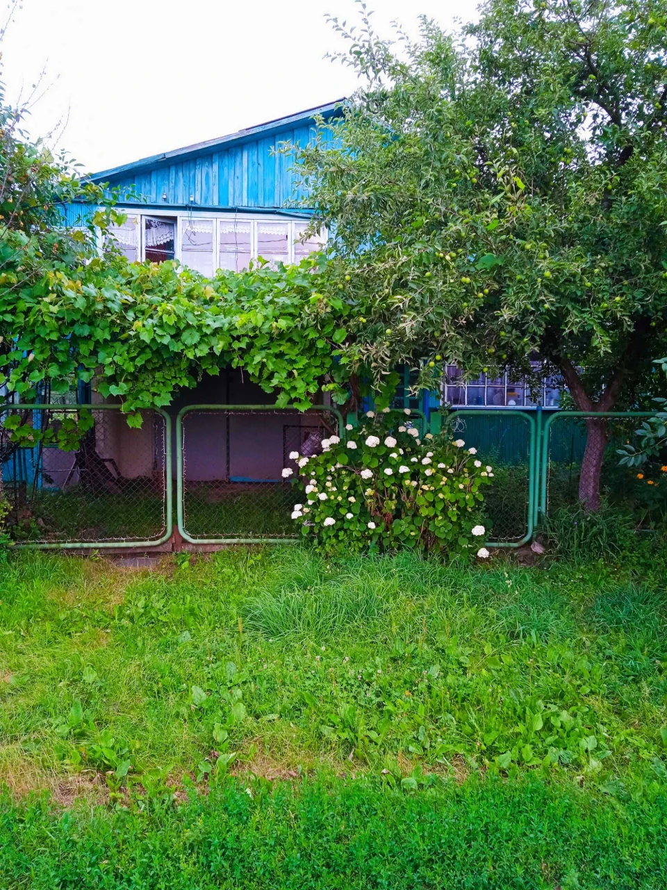 Продам полдома в г. Корюковка
