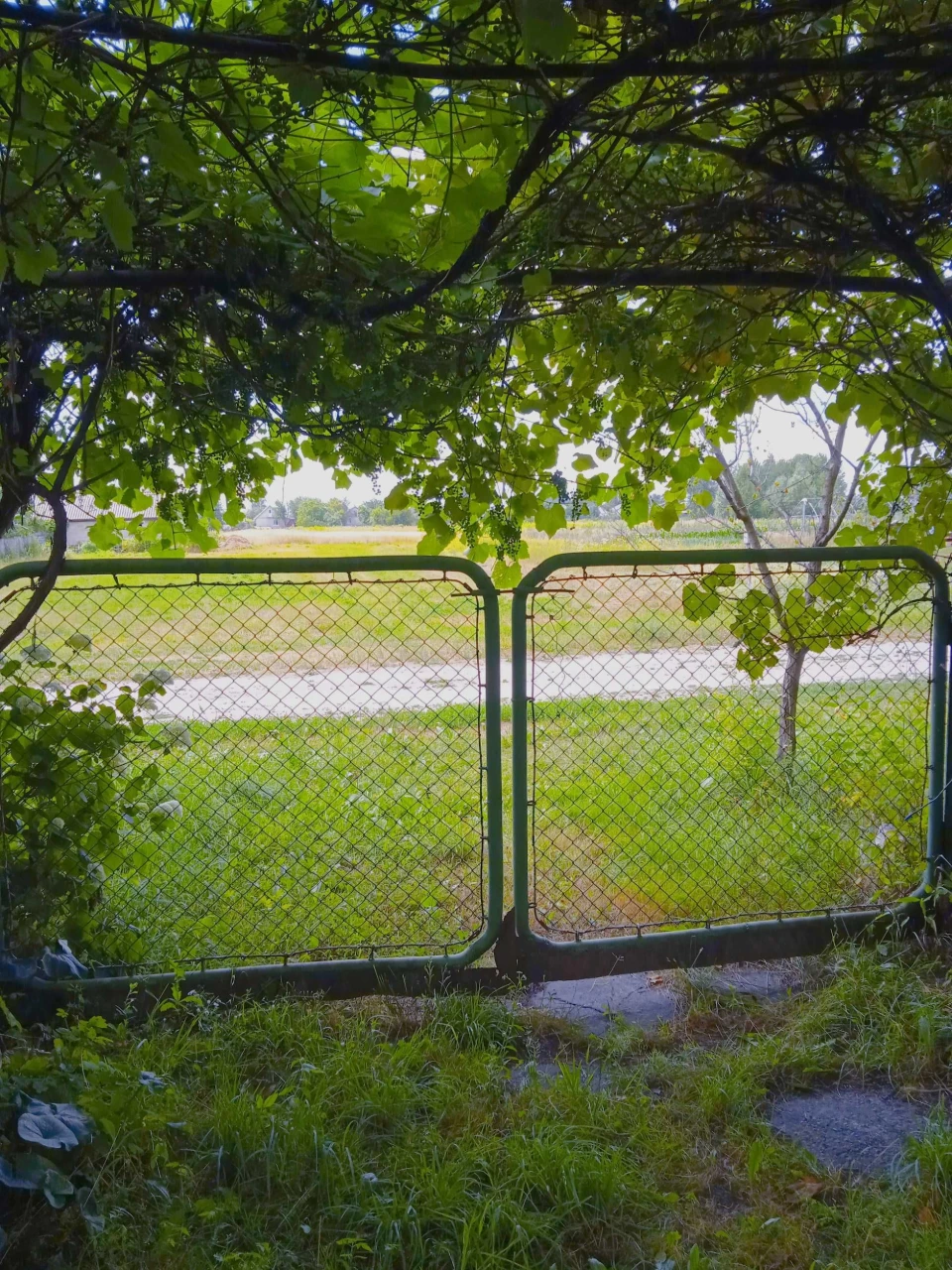 Продам полдома в г. Корюковка