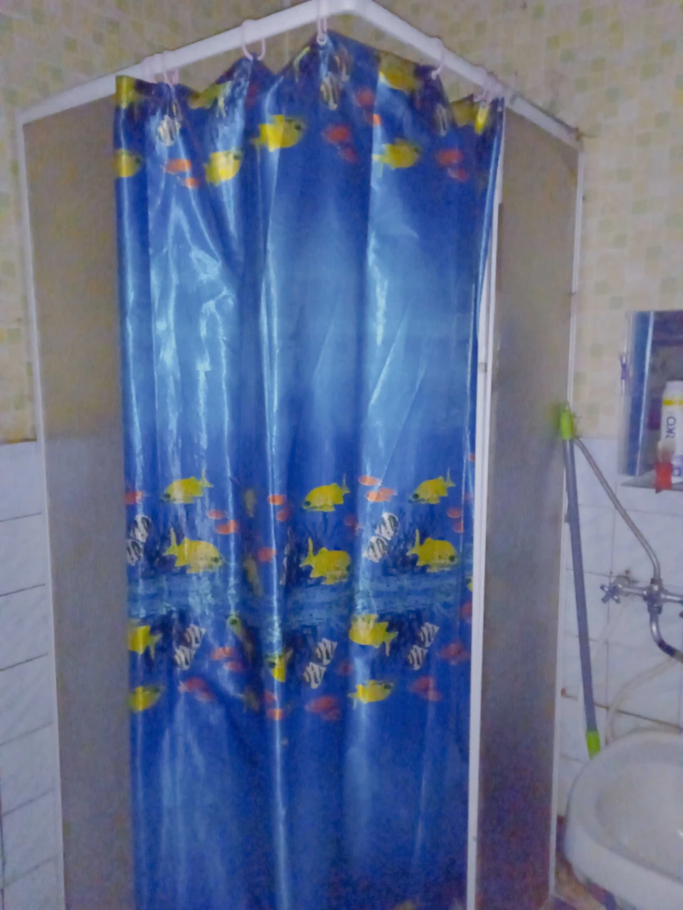 Продам полдома в г. Корюковка