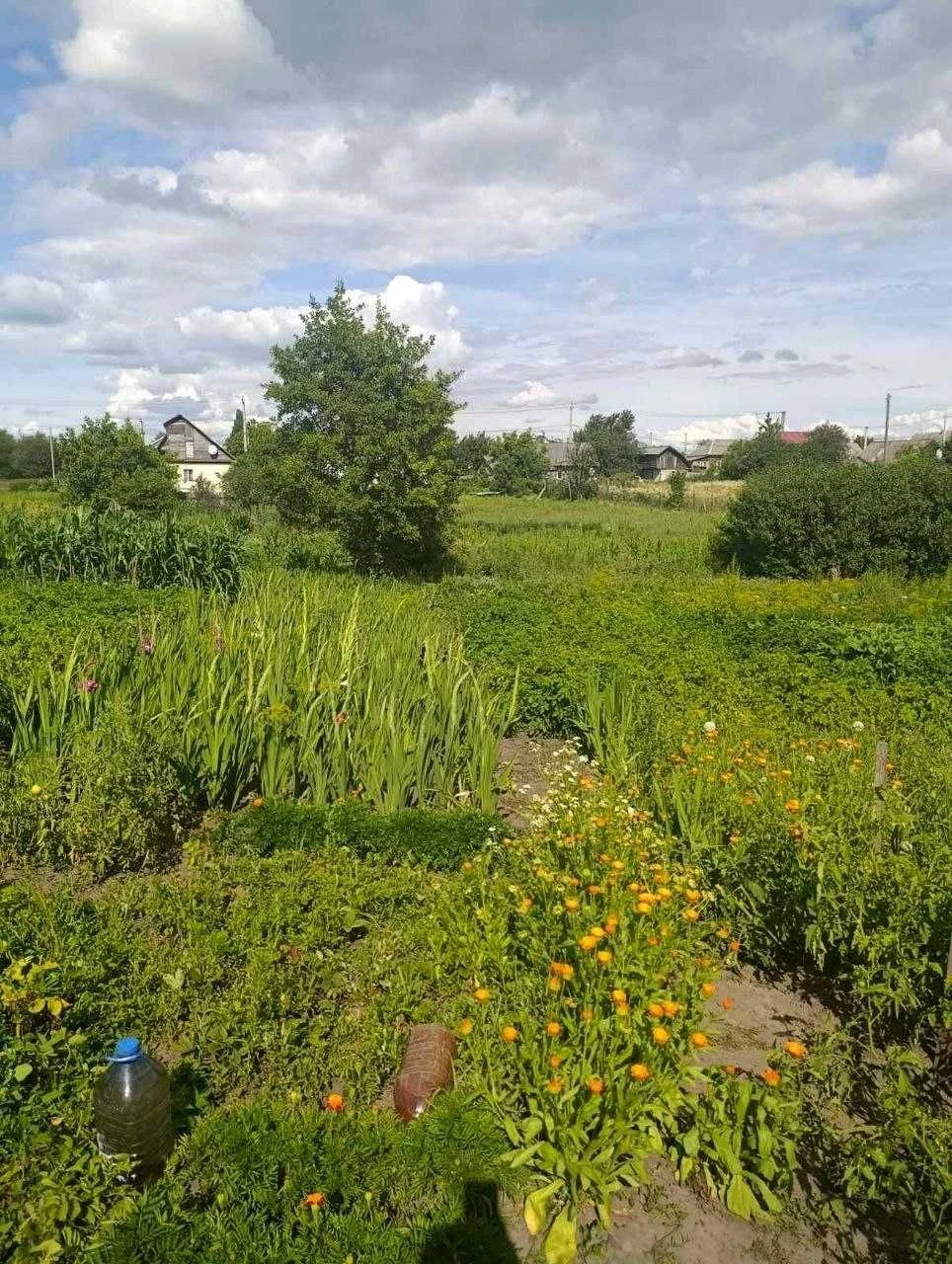 Будинок ділянка 10 соток Мена. Все для свого господарство -