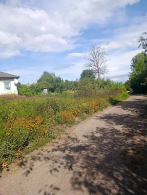 Будинок ділянка 10 соток Мена. Все для свого господарство -