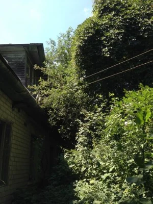 Продається будинок в місті Мена Чернігівської області.