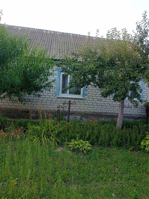 Продається будинок в м.Новгород-Сіверський